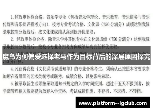 魔鸟为何偏爱选择老马作为目标背后的深层原因探究