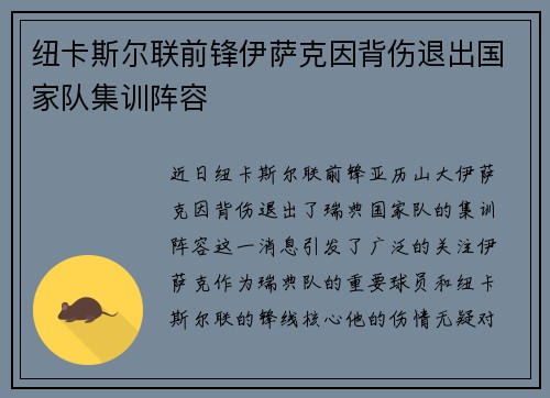 纽卡斯尔联前锋伊萨克因背伤退出国家队集训阵容
