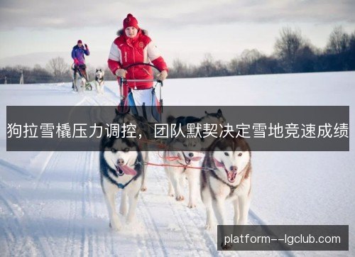 狗拉雪橇压力调控，团队默契决定雪地竞速成绩